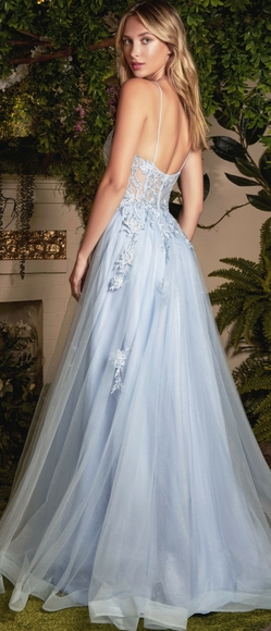 Tulle gown with crystals and lace floor length - Picture 4 of 7